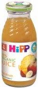 SOKIC HIPP BIO MULTIFRUIT 200ML
