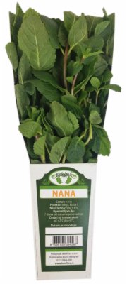 NANA 20G