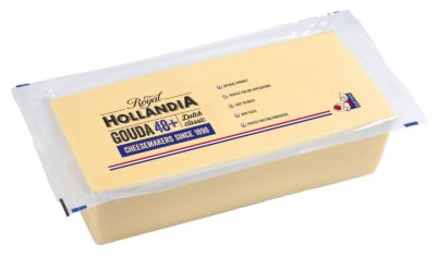 SIR GAUDA ROYAL HOLLANDIA RF