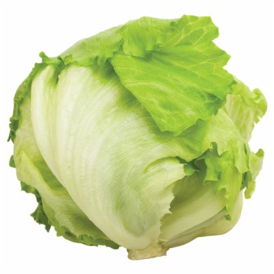 ICEBERG SALATA FOLIRANA KOM